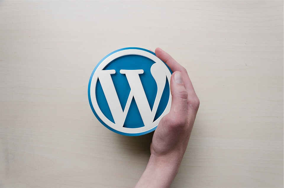 Wordpress Website Developer