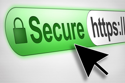 Wordpress Website Developer