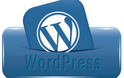 Do you want a WordPress Website Developer?