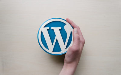 WordPress Developer | 3 Tips To Hire a WordPress Developer