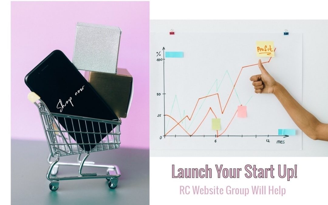 Budget & Launch Your New Start Up Website | Website Help